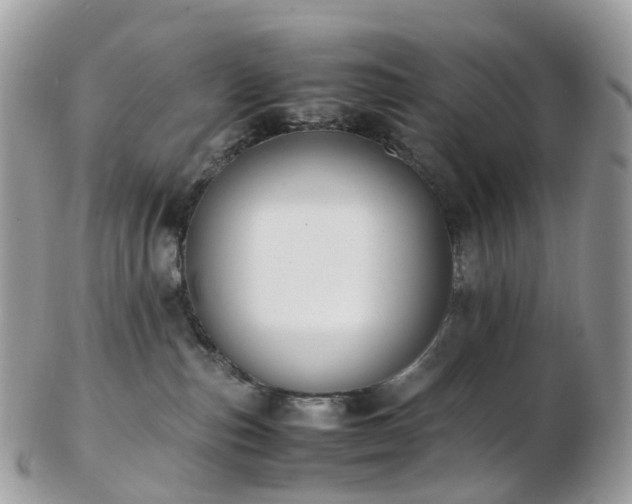 X0000102840187200808251204