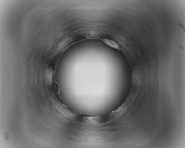 X0000102840188200808251204