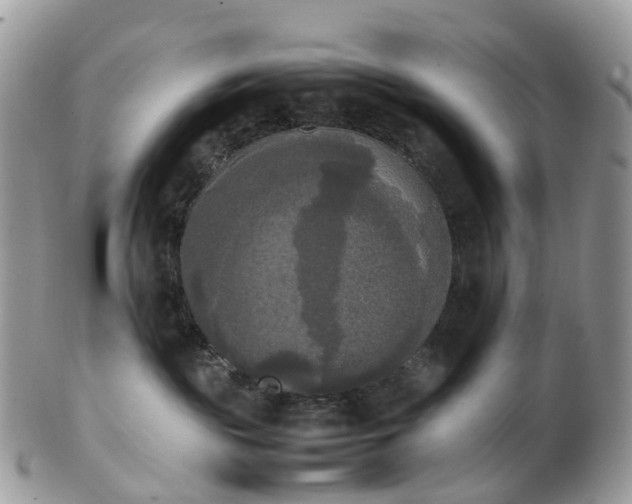 X0000102840189200808251204