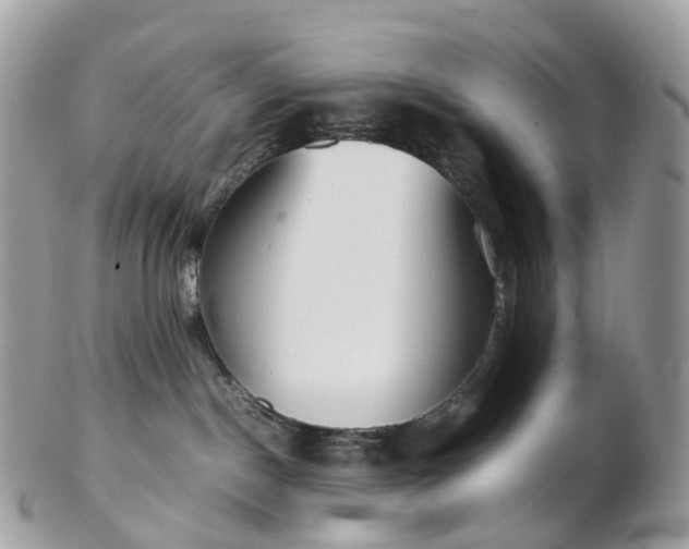 X0000102840190200808251204