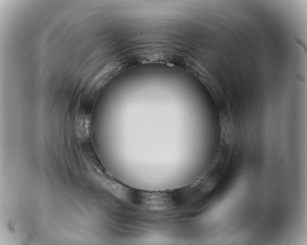 X0000102840191200808251204