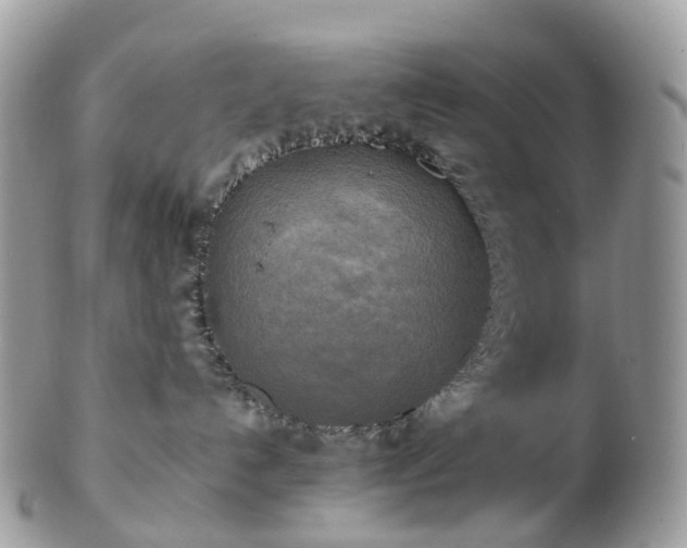 X0000102840192200808251204