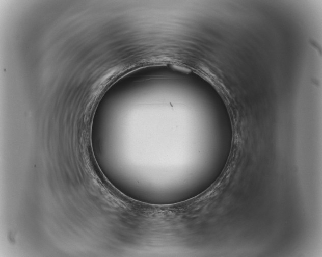 X0000102840193200808251203