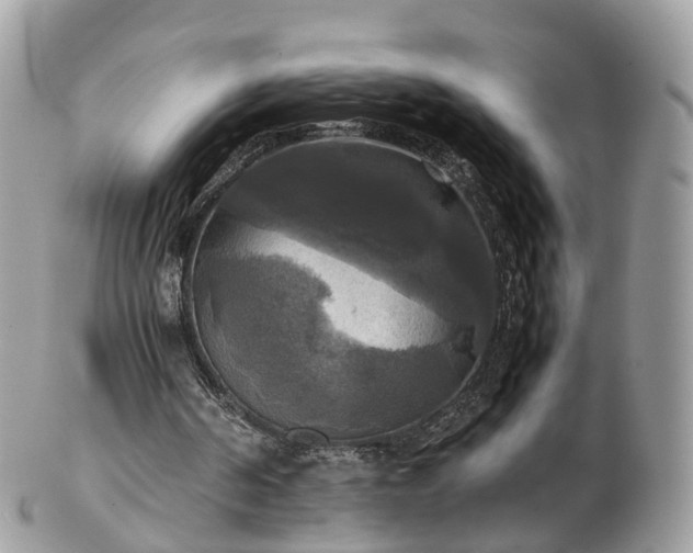 X0000102840194200808251203