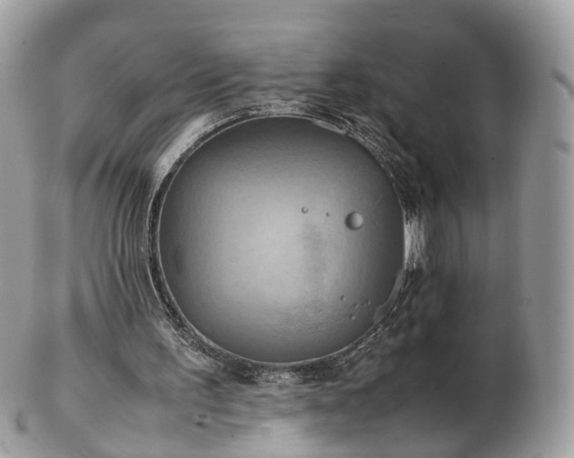 X0000102840195200808251203