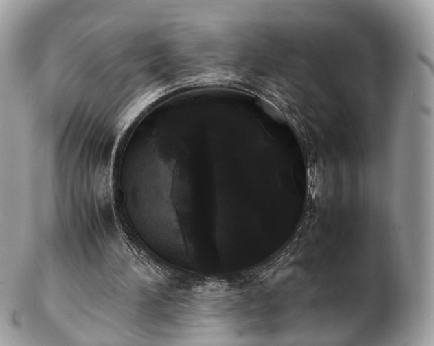 X0000102840196200808251203