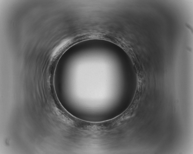 X0000102840197200808251203