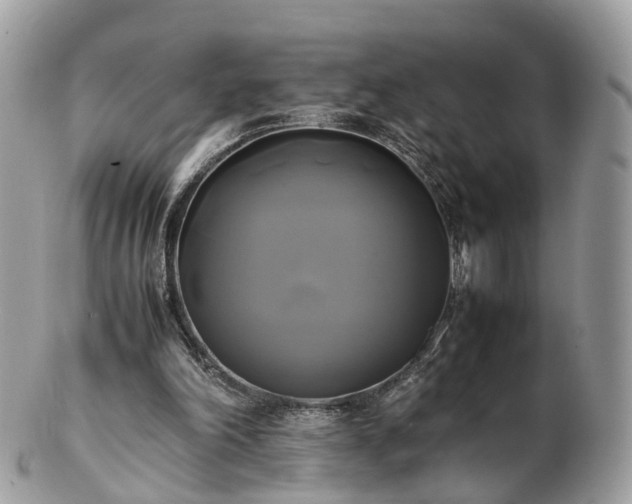 X0000102840198200808251203