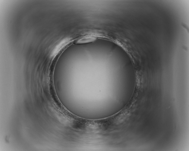 X0000102840199200808251203