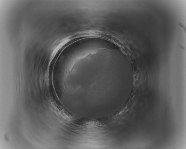 X0000102840200200808251203