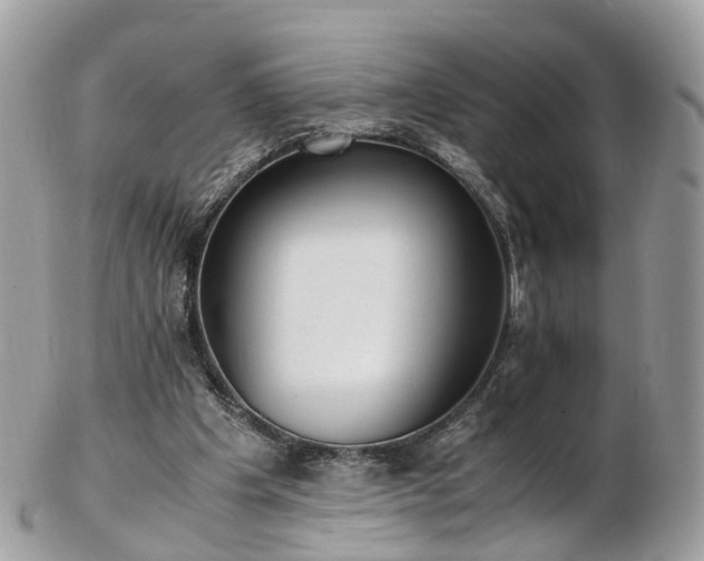 X0000102840201200808251203