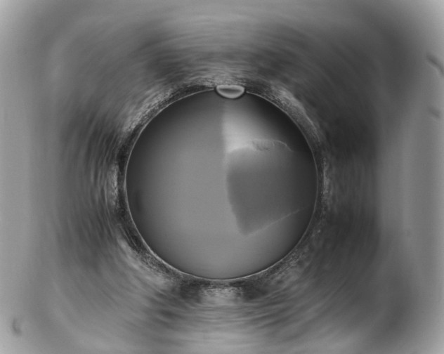 X0000102840202200808251203