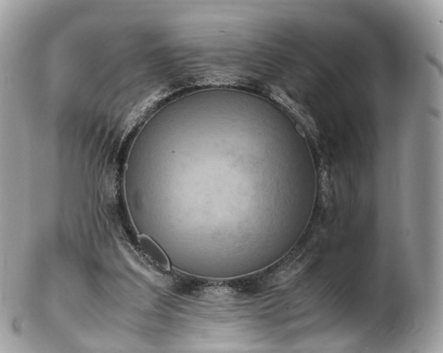 X0000102840203200808251203