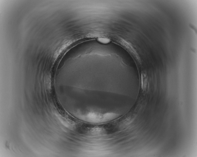 X0000102840204200808251203