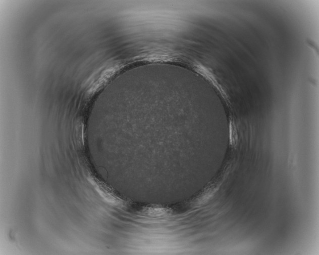 X0000102840205200808251203