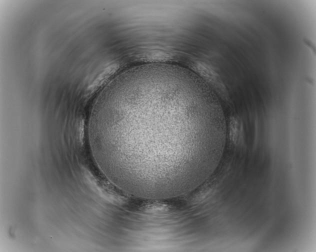 X0000102840206200808251203