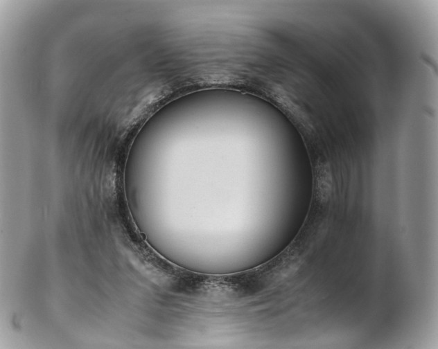 X0000102840207200808251203