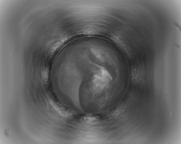 X0000102840208200808251203