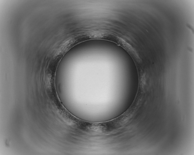 X0000102840209200808251203