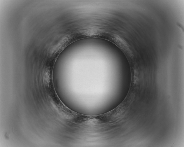 X0000102840210200808251203