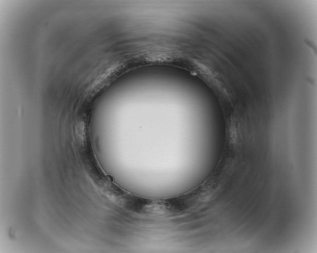 X0000102840211200808251203