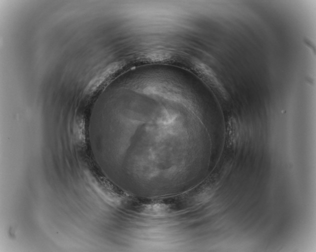 X0000102840212200808251203