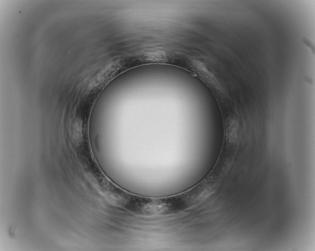 X0000102840213200808251203