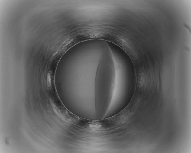 X0000102840214200808251203