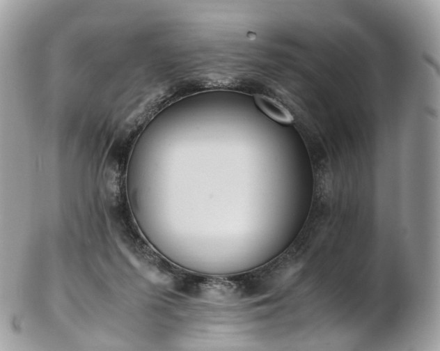 X0000102840215200808251203