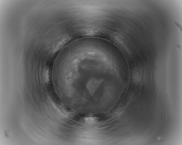 X0000102840216200808251203