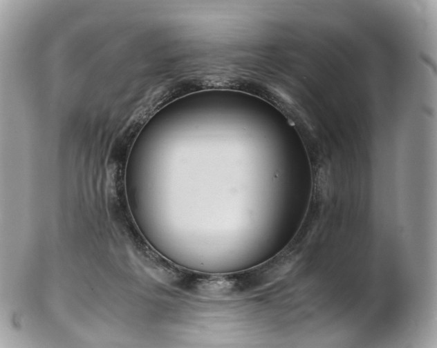 X0000102840217200808251203