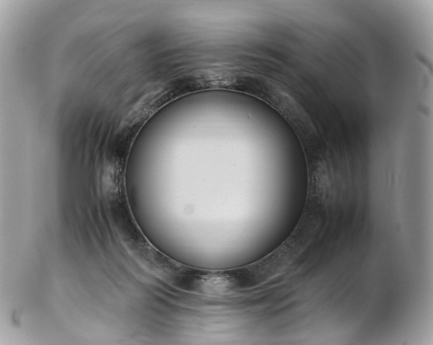 X0000102840218200808251203