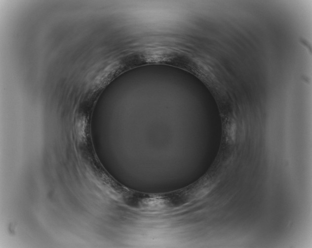 X0000102840219200808251203