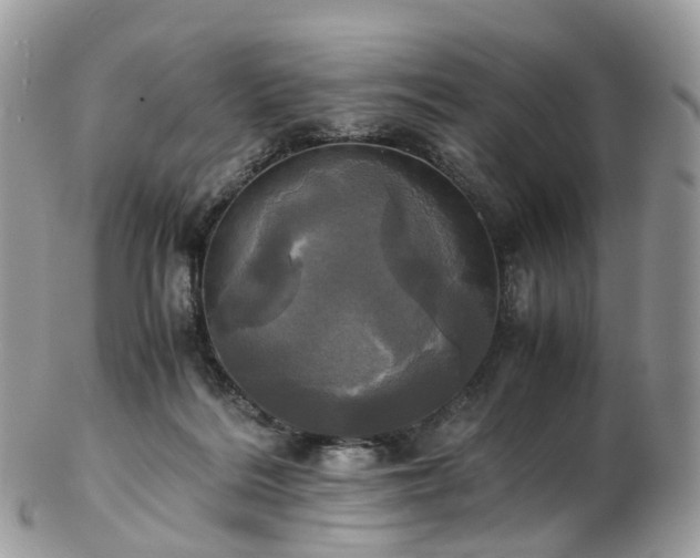 X0000102840220200808251203