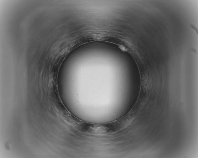 X0000102840221200808251203