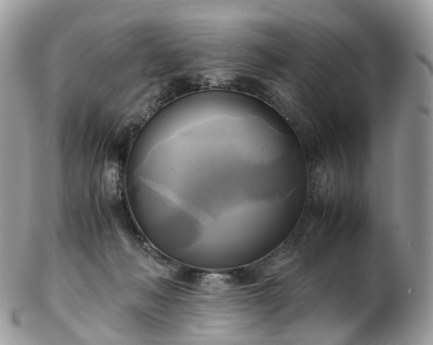 X0000102840222200808251203