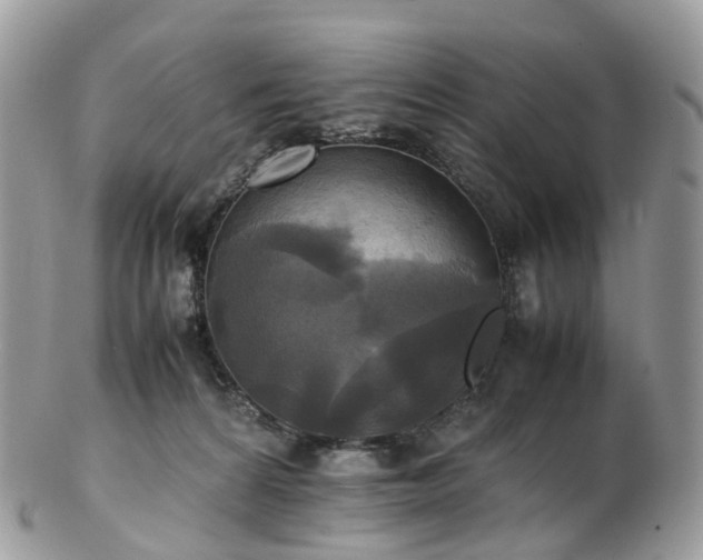 X0000102840224200808251203