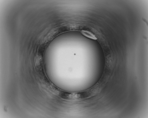 X0000102840225200808251203