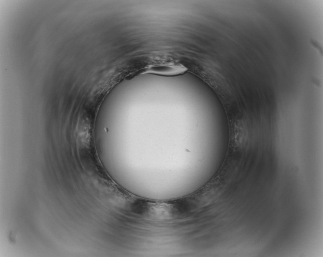 X0000102840226200808251203