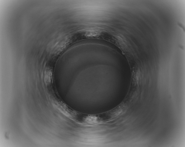 X0000102840227200808251203