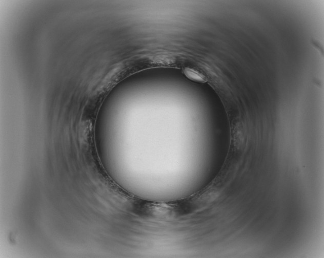 X0000102840229200808251203