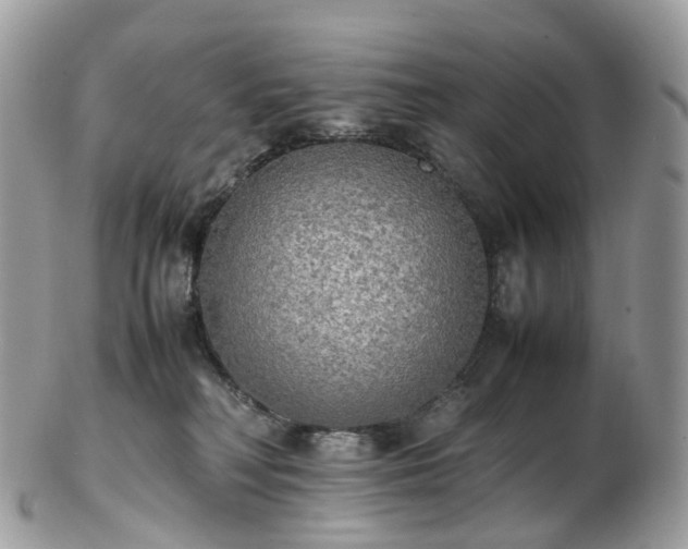 X0000102840230200808251203