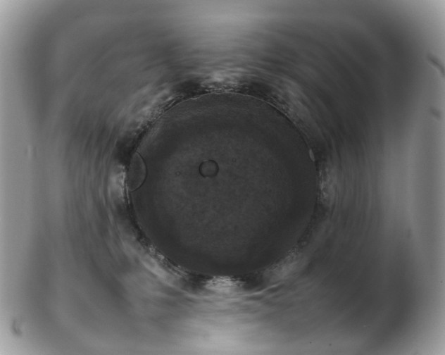 X0000102840231200808251203