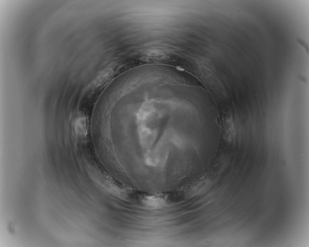 X0000102840232200808251203