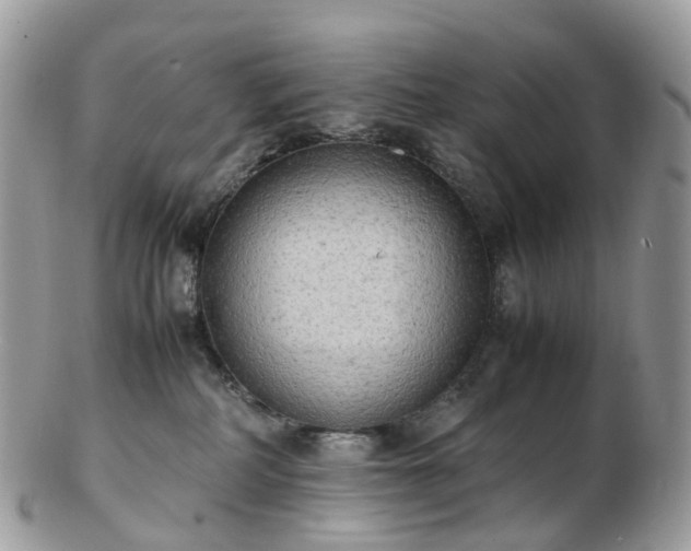 X0000102840234200808251203