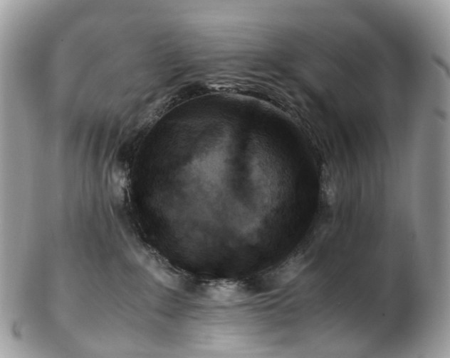 X0000102840235200808251203