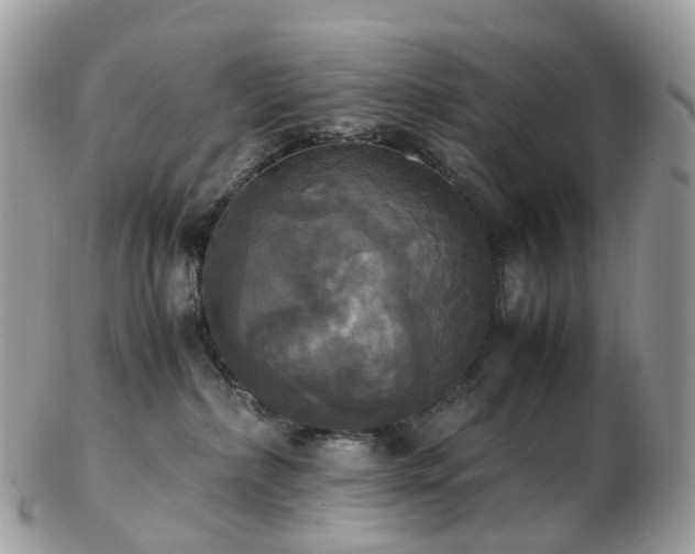 X0000102840236200808251203