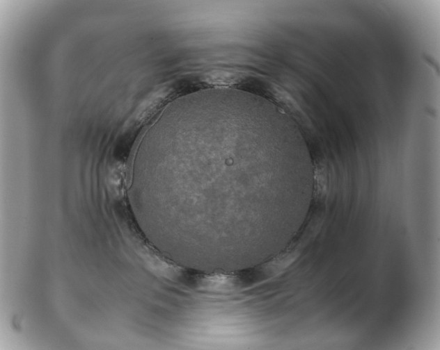 X0000102840237200808251203