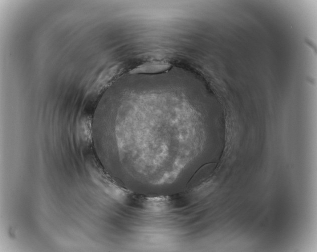 X0000102840240200808251203