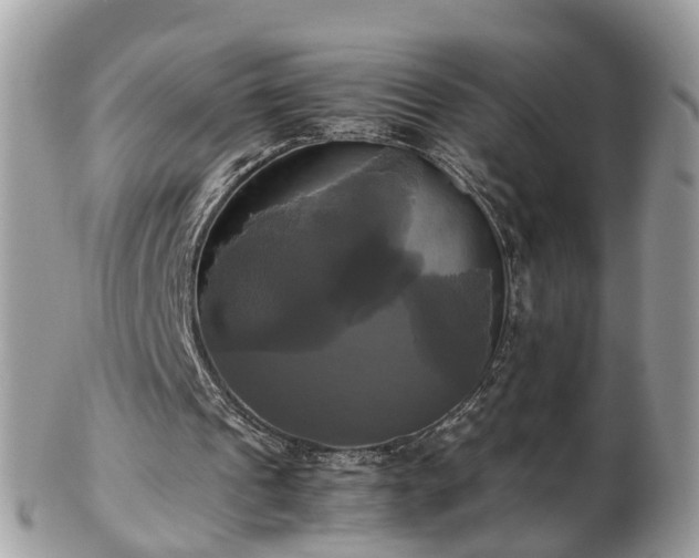 X0000102840241200808251202